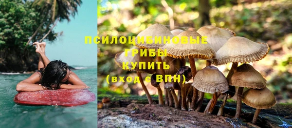 mdpv Богородицк