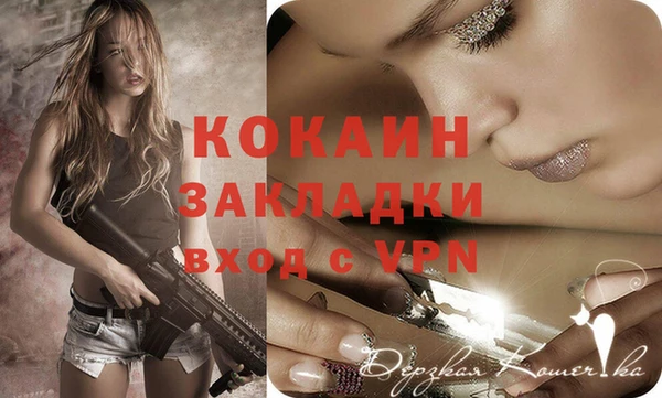 mdpv Богородицк