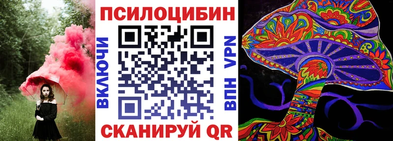 Купить  Владивосток  Галлюциногенные грибы прущие грибы 