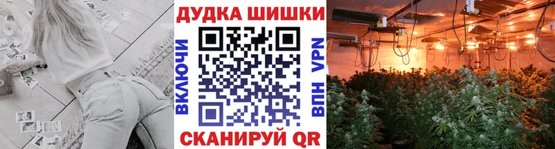 Купить закладки  Владивосток  Канабис план 